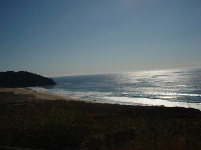 gal/2007 California/picture_161.jpg